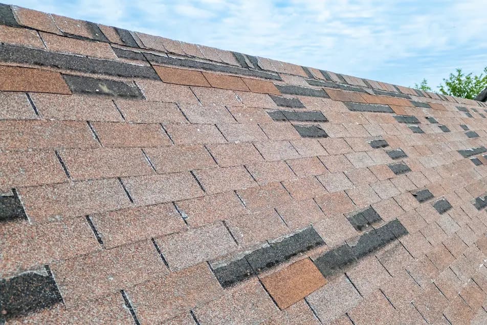 missing shingles on an asphalt roof in michigan from wind damage